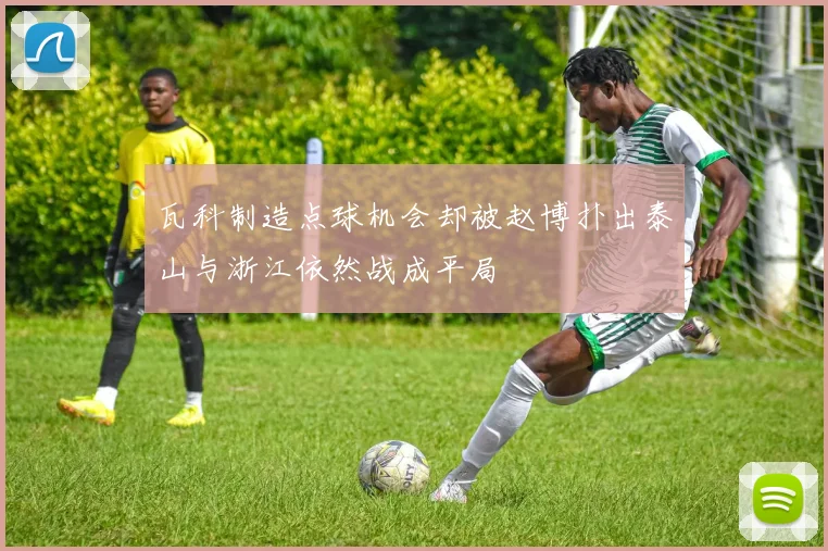 瓦科制造点球机会却被赵博扑出泰山与浙江依然战成平局